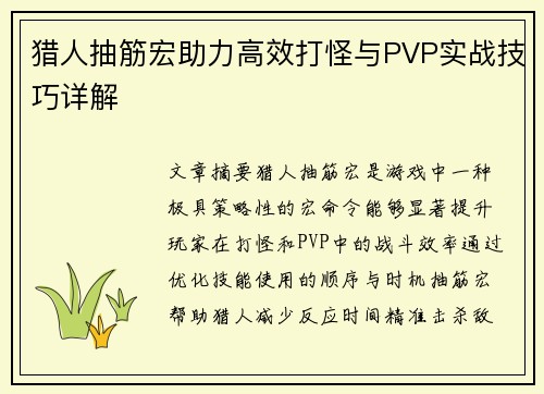 猎人抽筋宏助力高效打怪与PVP实战技巧详解